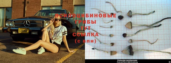 не бодяженный Медвежьегорск