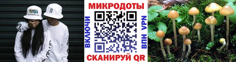 Псилоцибиновые грибы Cubensis  Хасавюрт 