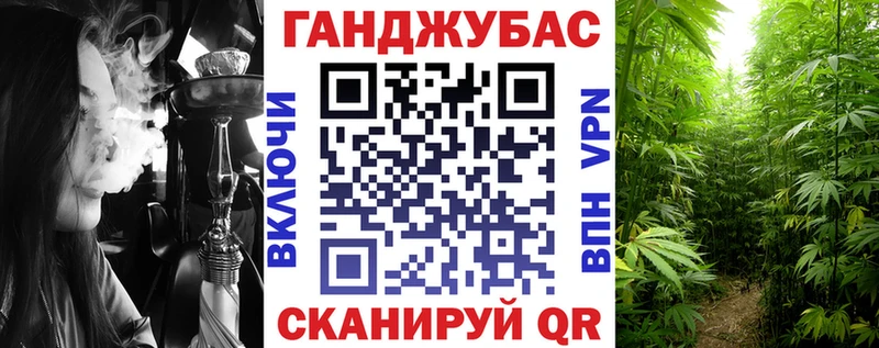 shop какой сайт  Хасавюрт  Бошки марихуана White Widow 